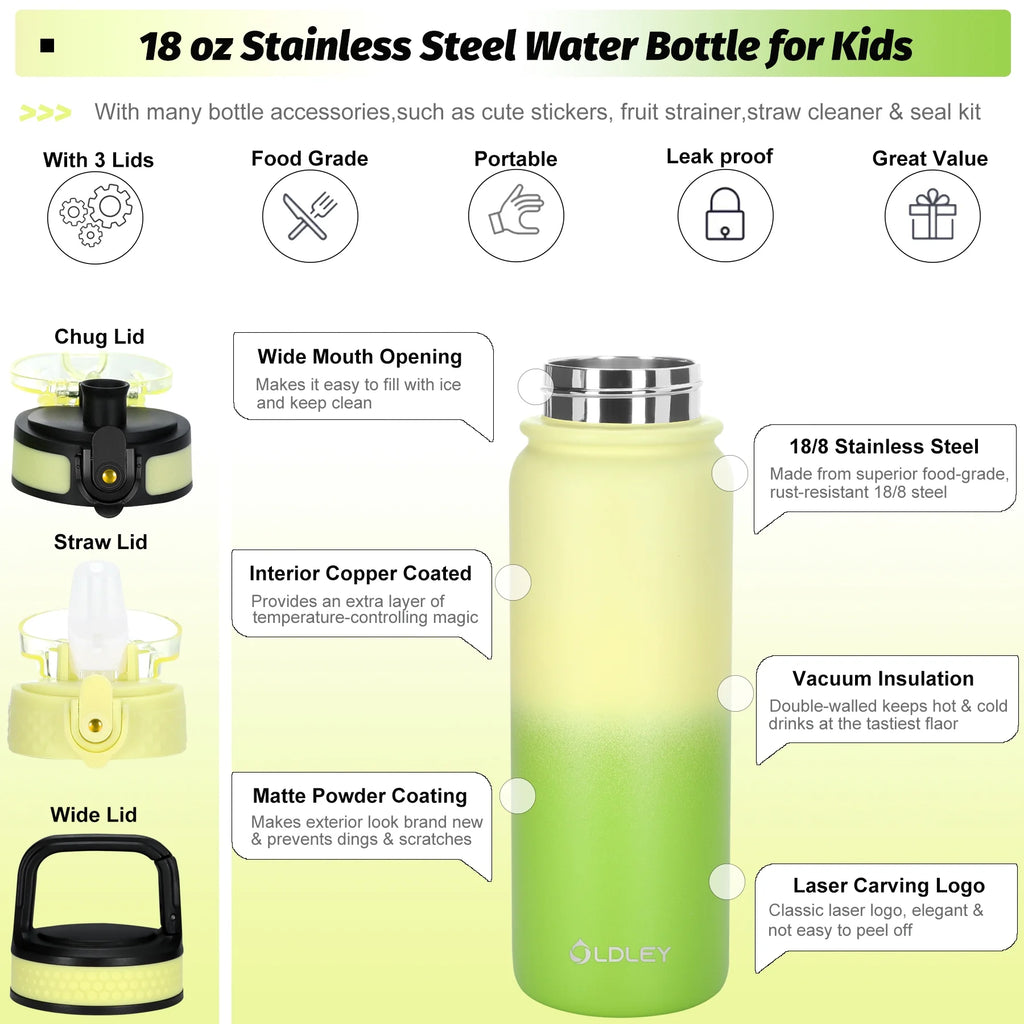 20 oz Insulated Water Bottle with Triple Lid - Leakproof and Durable Design