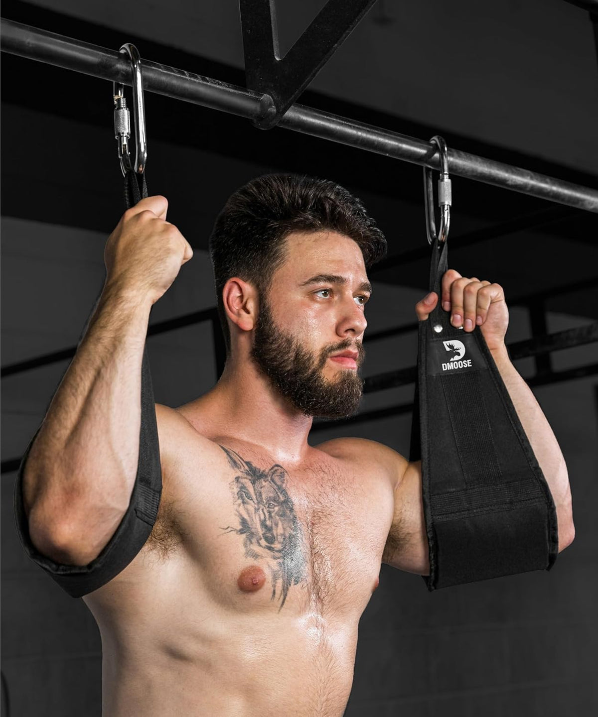 Professional Hanging Ab Straps for Pull-Up Bar & Core Strength Training - Soft Padded Exercise Straps for Ab Swings & Leg Raises, Includes 2 Steel Carabiners - Ideal Abs Equipment for Home & Gym Use