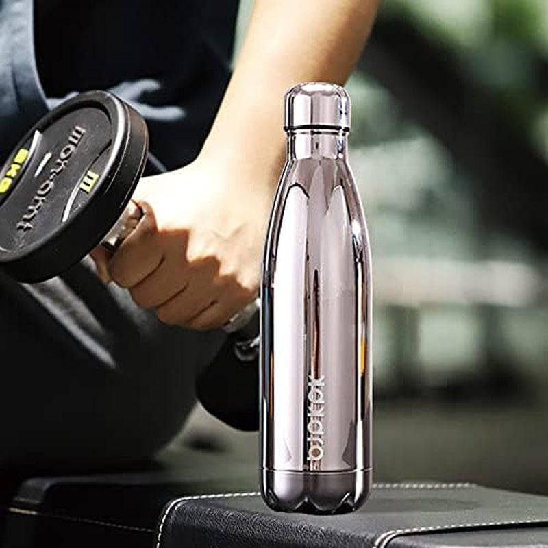 17 oz Stainless Steel Insulated Water Bottle - Leak-Proof Design