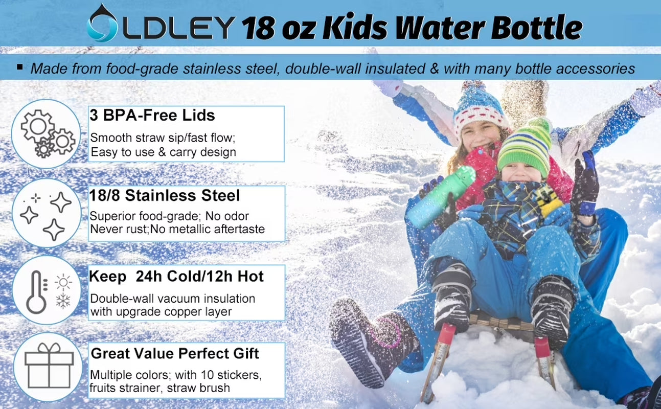 20 oz Insulated Water Bottle with Triple Lid - Leakproof and Durable Design