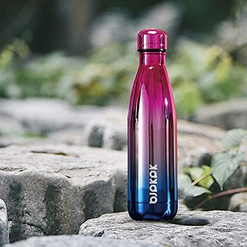 17 oz Stainless Steel Insulated Water Bottle - Leak-Proof Design