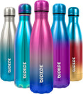 17 oz Stainless Steel Insulated Water Bottle - Leak-Proof Design