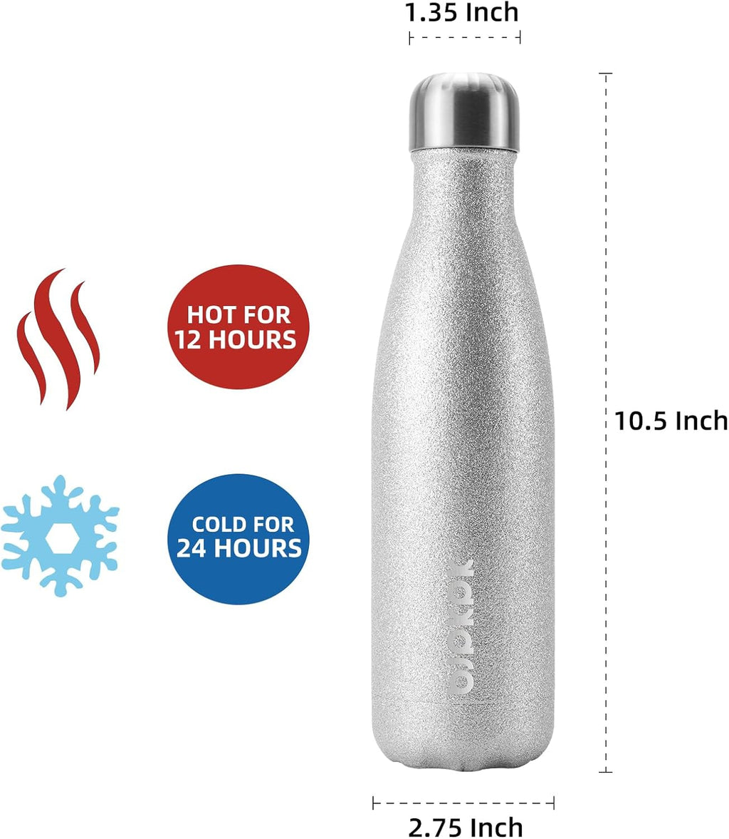 17 oz Insulated Stainless Steel Water Bottle - Leak Proof Design
