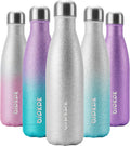 17 oz Insulated Stainless Steel Water Bottle - Leak Proof Design